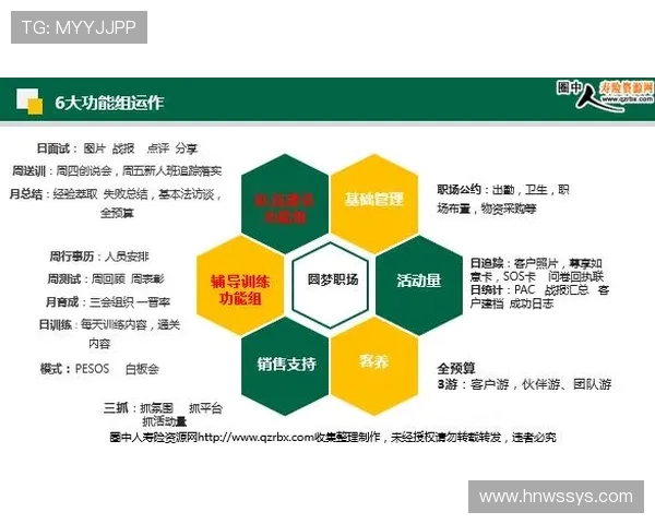 深圳滑板队团队协作模式深度对比与分析探讨