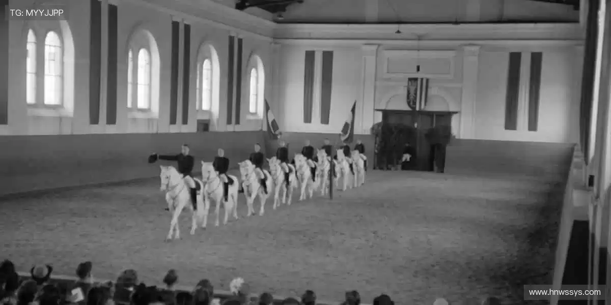 ⏰准时开播，分秒必争！📡稳定流畅，告别卡顿烦恼！